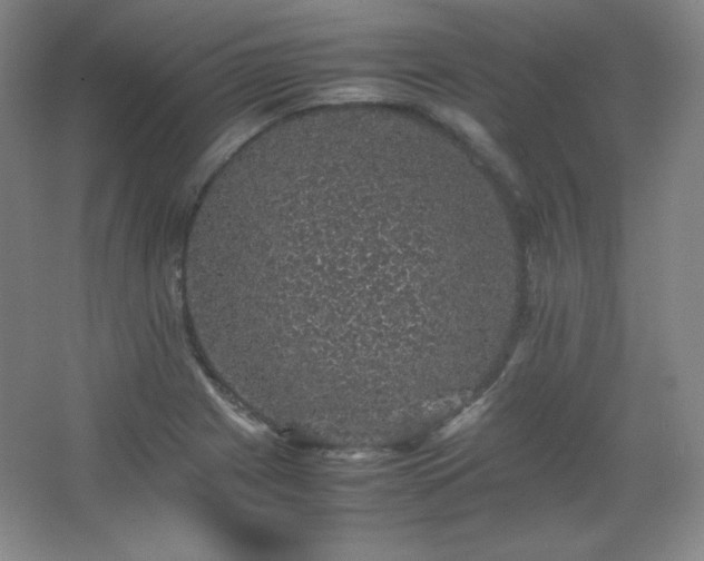 X0000067461225200604071119