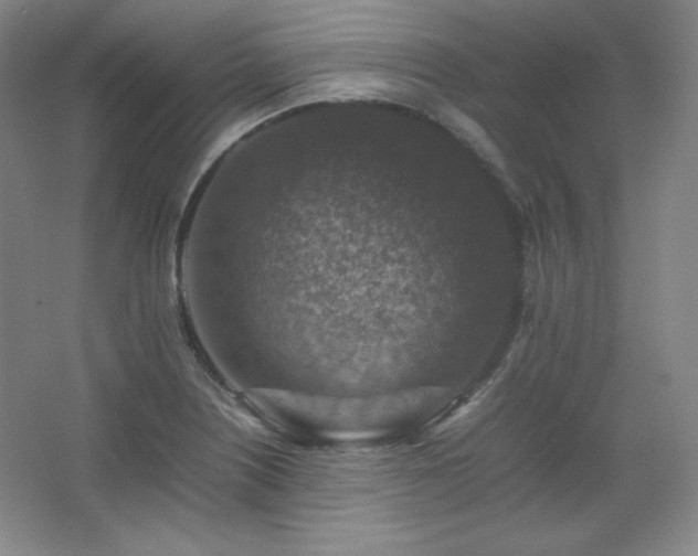 X0000067461226200604071119