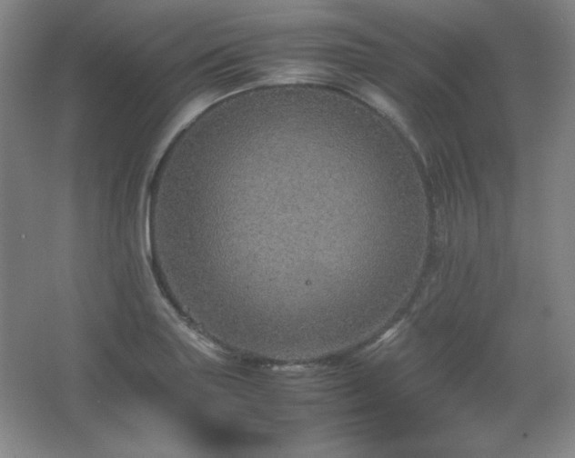 X0000067461227200604071119