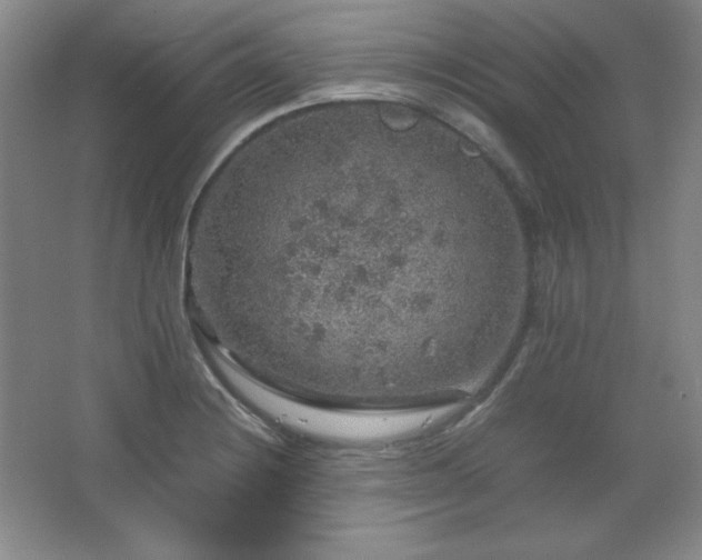 X0000067461228200604071119