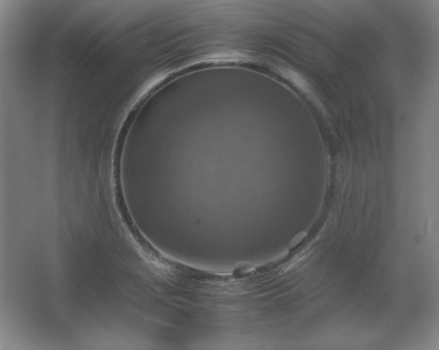 X0000067461229200604071119