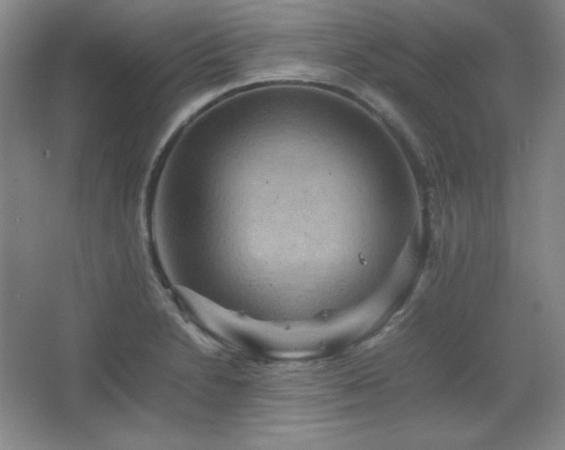 X0000067461230200604071119