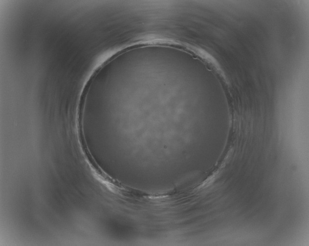 X0000067461231200604071120