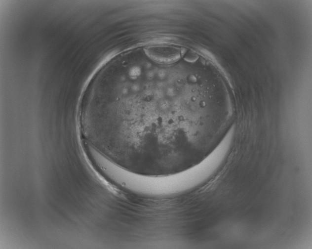 X0000067461235200604071120