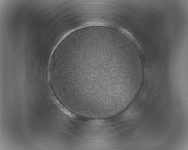 X0000067461236200604071120