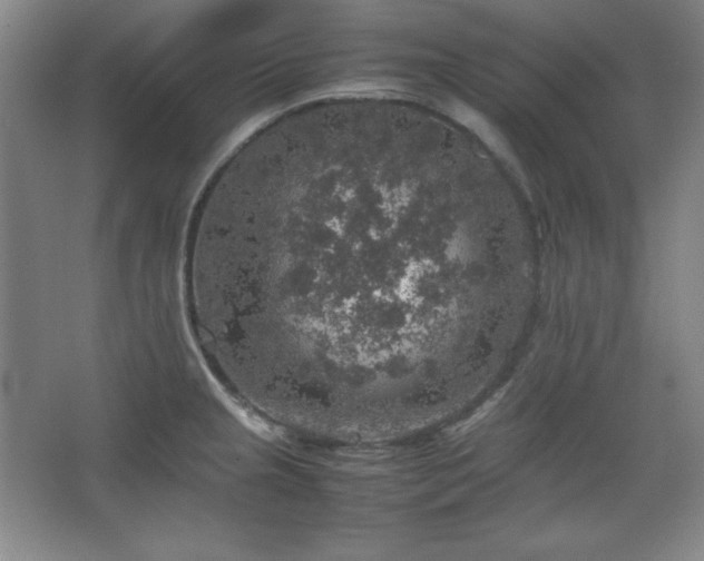 X0000067461237200604071120