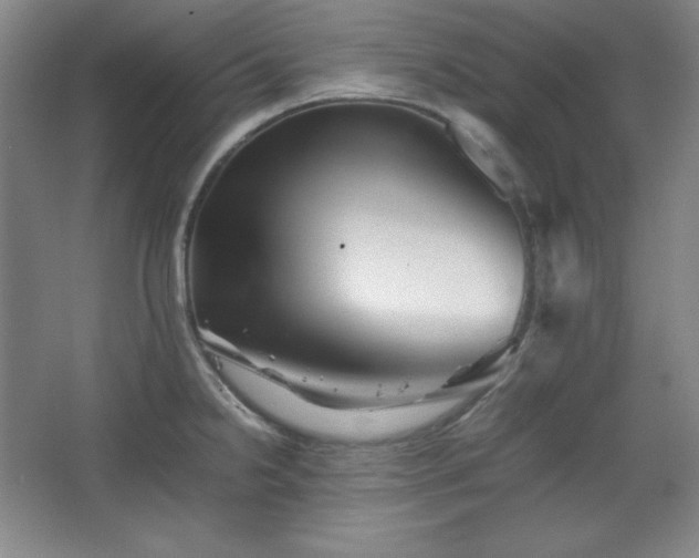 X0000067461238200604071120