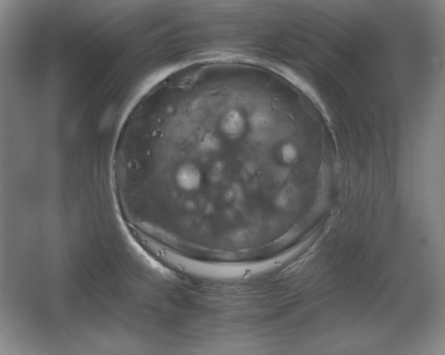 X0000067461239200604071120