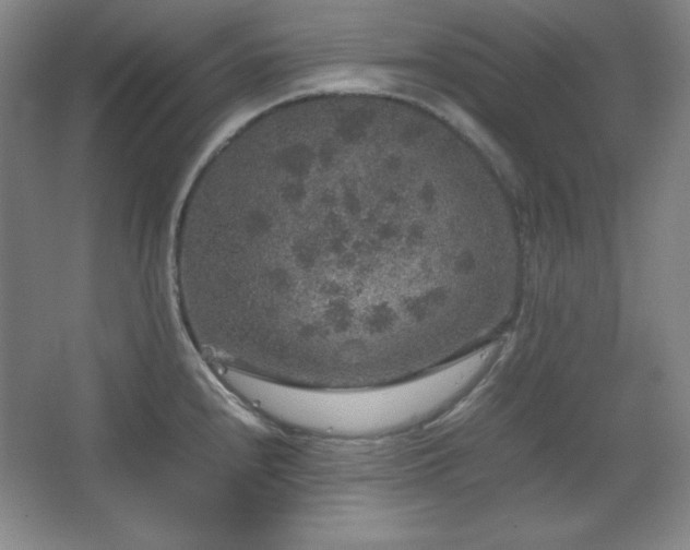 X0000067461240200604071120