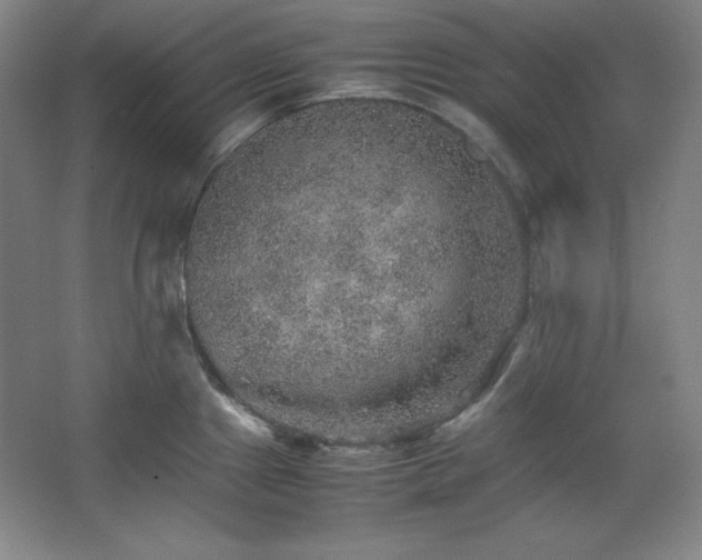 X0000067461241200604071120