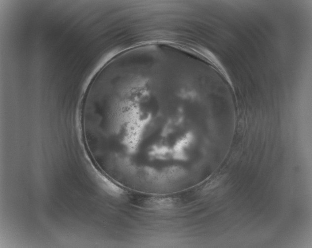 X0000067461243200604071120