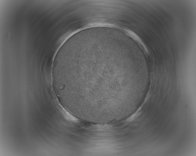 X0000067461244200604071120