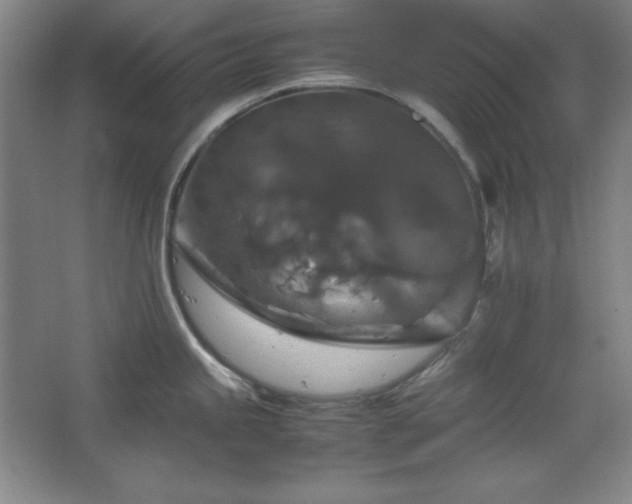 X0000067461245200604071120