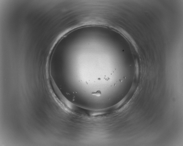 X0000067461246200604071120