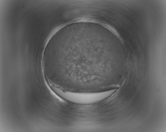 X0000067461247200604071120