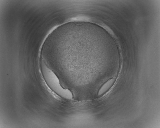 X0000067461248200604071120