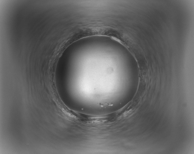 X0000067461249200604071119