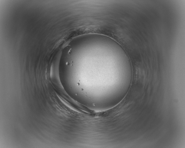 X0000067461250200604071119