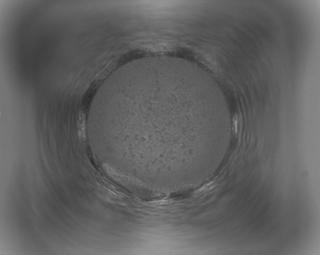 X0000067461251200604071119