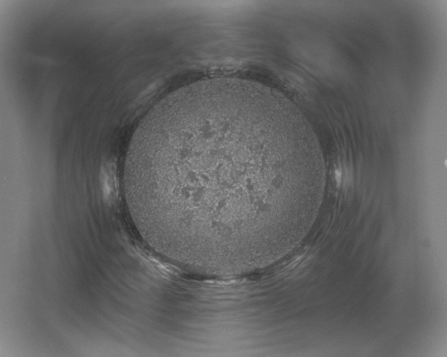 X0000067461252200604071119