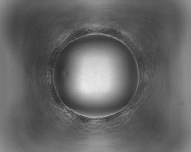 X0000067461253200604071119