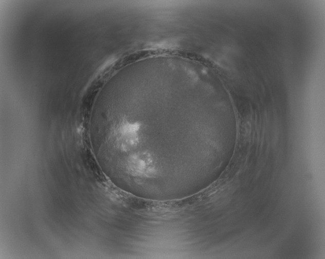 X0000067461254200604071119