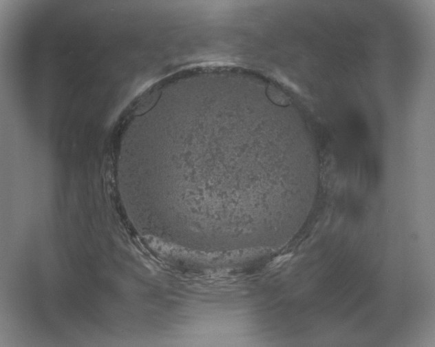 X0000067461255200604071119