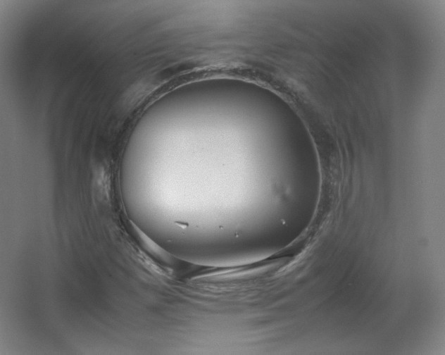 X0000067461257200604071119