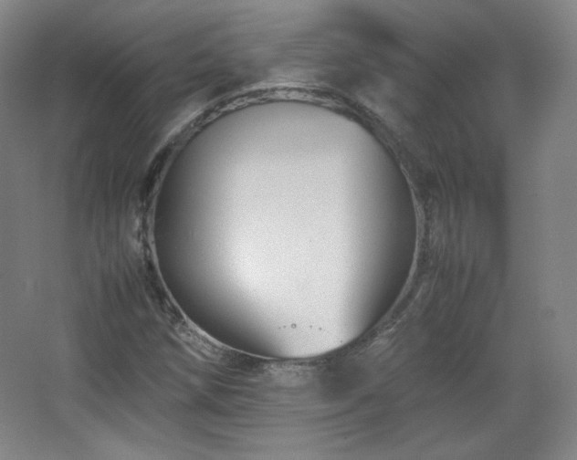 X0000067461258200604071119