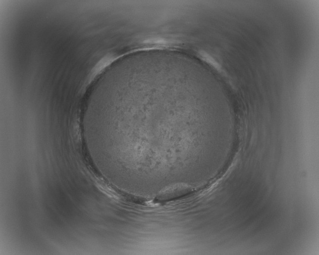 X0000067461259200604071119