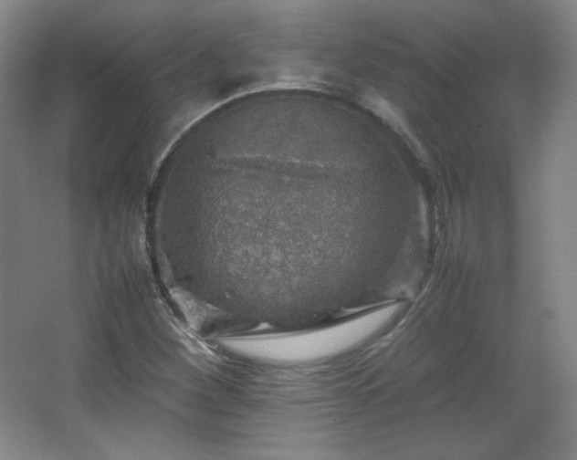 X0000067461260200604071119