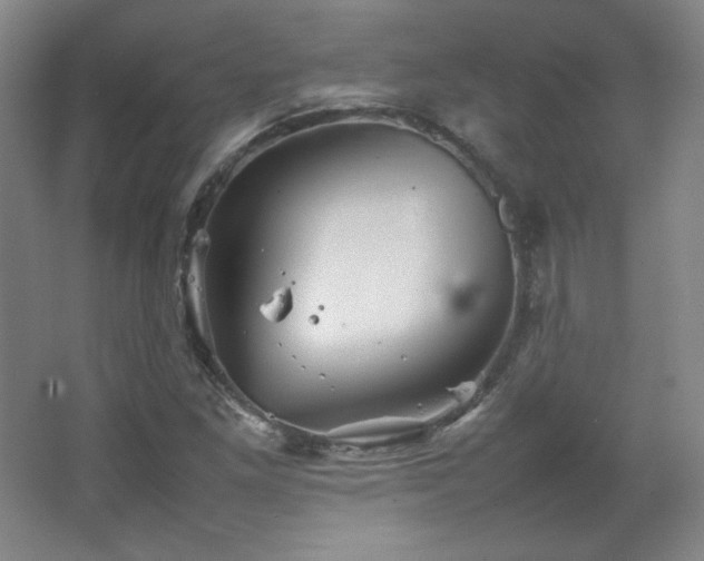 X0000067461261200604071119