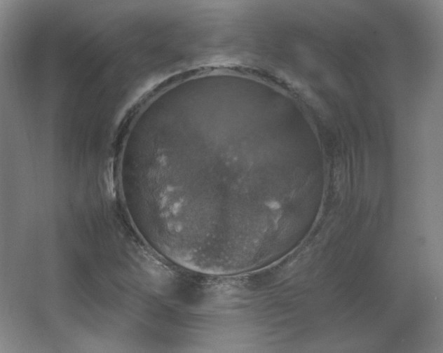 X0000067461262200604071119