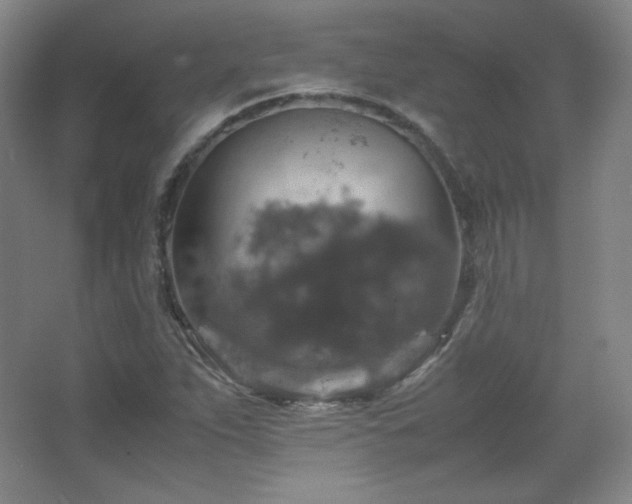 X0000067461263200604071119