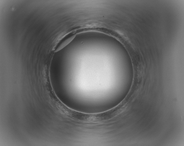 X0000067461265200604071119