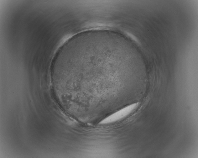 X0000067461267200604071119