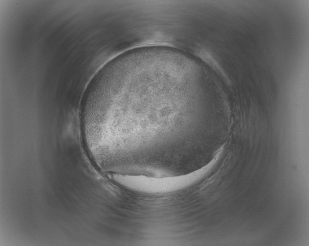 X0000067461268200604071119