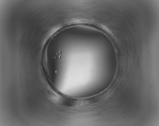 X0000067461269200604071119