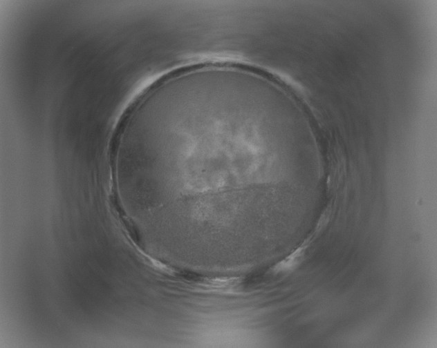 X0000067461271200604071119