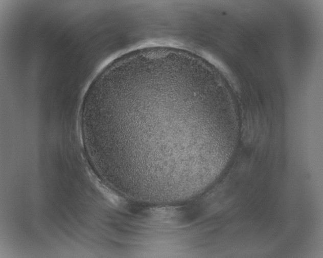 X0000067461272200604071119