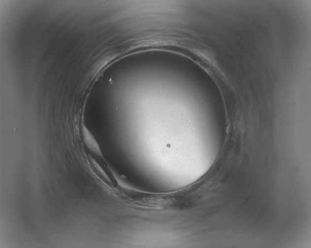 X0000067461273200604071119