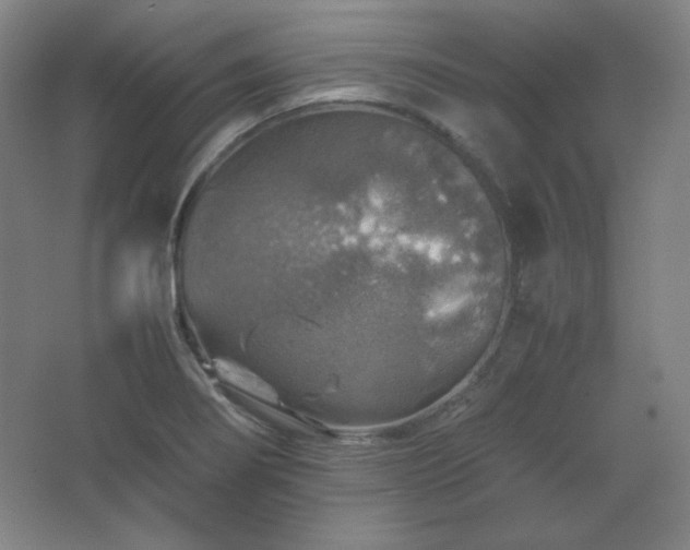 X0000067461274200604071119