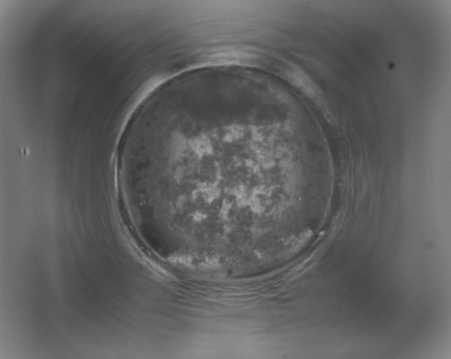 X0000067461275200604071119