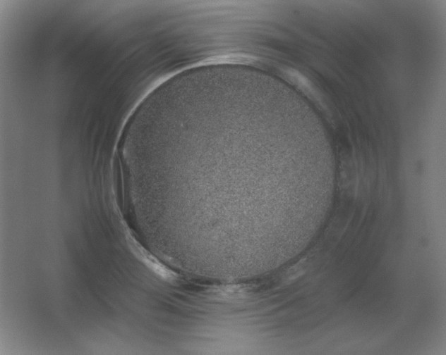 X0000067461276200604071119