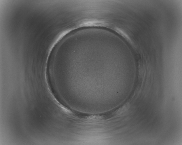 X0000067461277200604071119