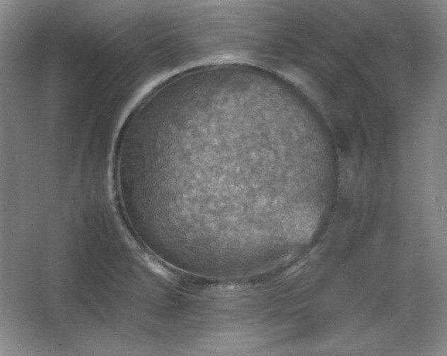 X0000067461278200604071119