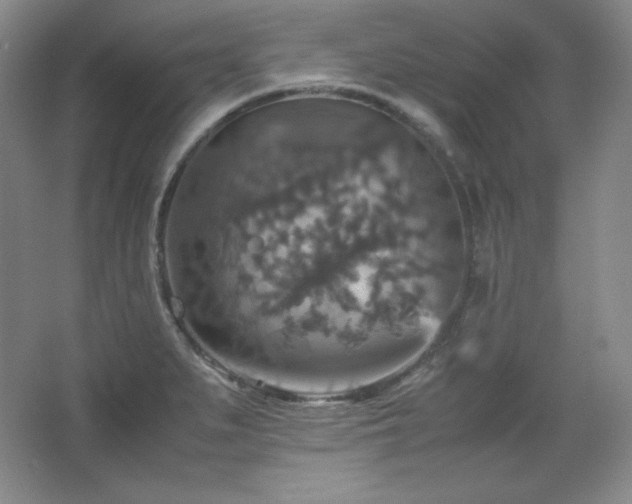 X0000067461279200604071118