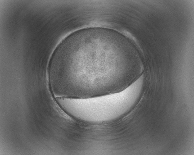 X0000067461280200604071118