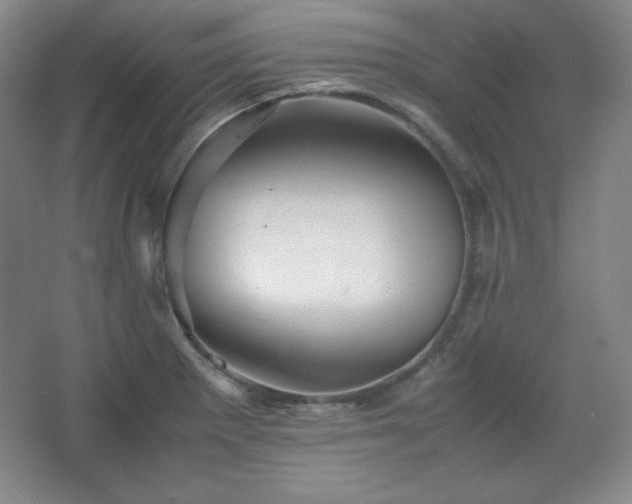 X0000067461281200604071118