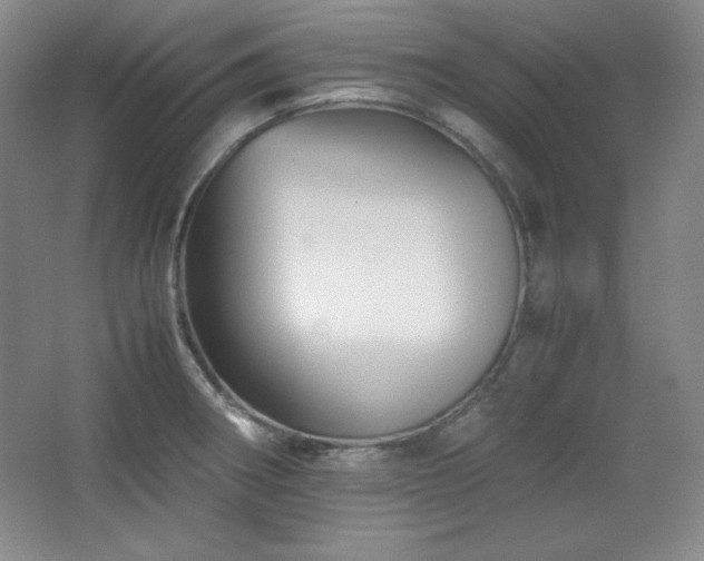 X0000067461282200604071118